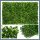 GARDLOV Umetni panel za živo mejo 60×40 cm 00025390