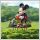 2D akrilna zunanja vrtna dekoracija – Mickey Mouse (29 x 20 cm) FU2658833
